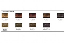 Clairol Advanced Gray Solution Semi Permanent Hair Color 4A Chai Brown