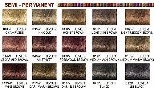 Clairol Beautiful Browns Color Chart