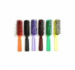 EDEN NYLON BRUSH DZ - ASSORTED