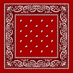 PAISLEY BANDANA DZ/PK