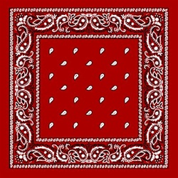 PAISLEY BANDANA DZ/PK