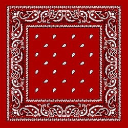 PAISLEY BANDANA DZ/PK