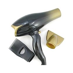 GOLD 'N HOT PROFESSIONAL EURO IONIC DRYER